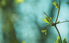 Clients want sustainability labels when investing﻿